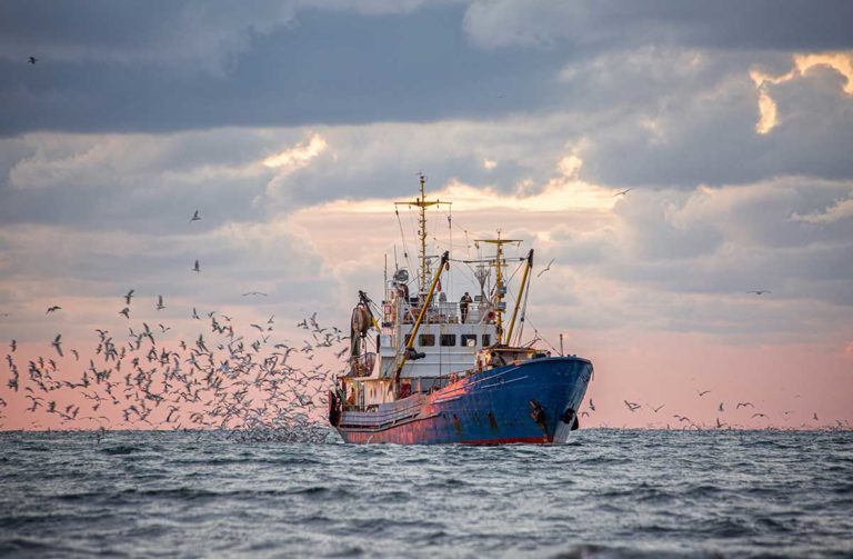Los problemas de visión de los pescadores de alta mar