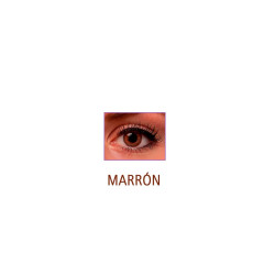 F.COLORBLENDS MARRON